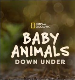 Baby Animals Down Under