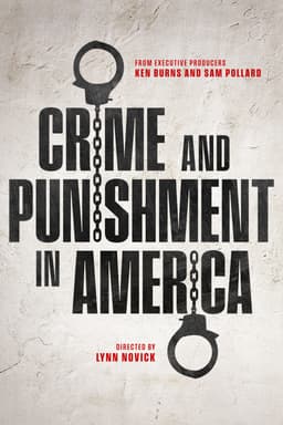 Crime and Punishment in America