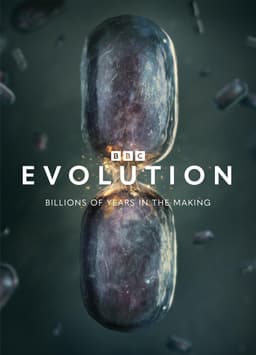 Evolution