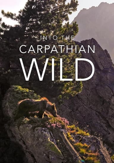 Into the Carpathian Wild
