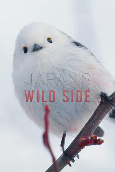 Japan's Wild Side